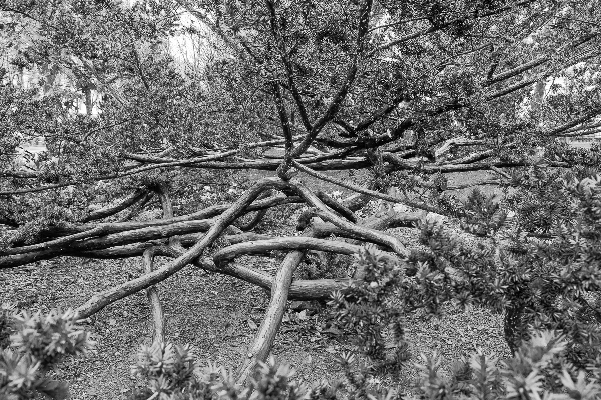 Stephan-Redel-0568-851-0526