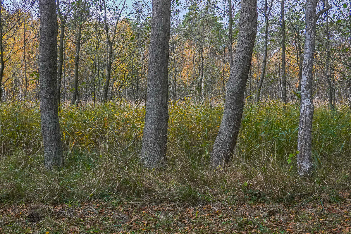 Stephan-Redel-0574-849-03969