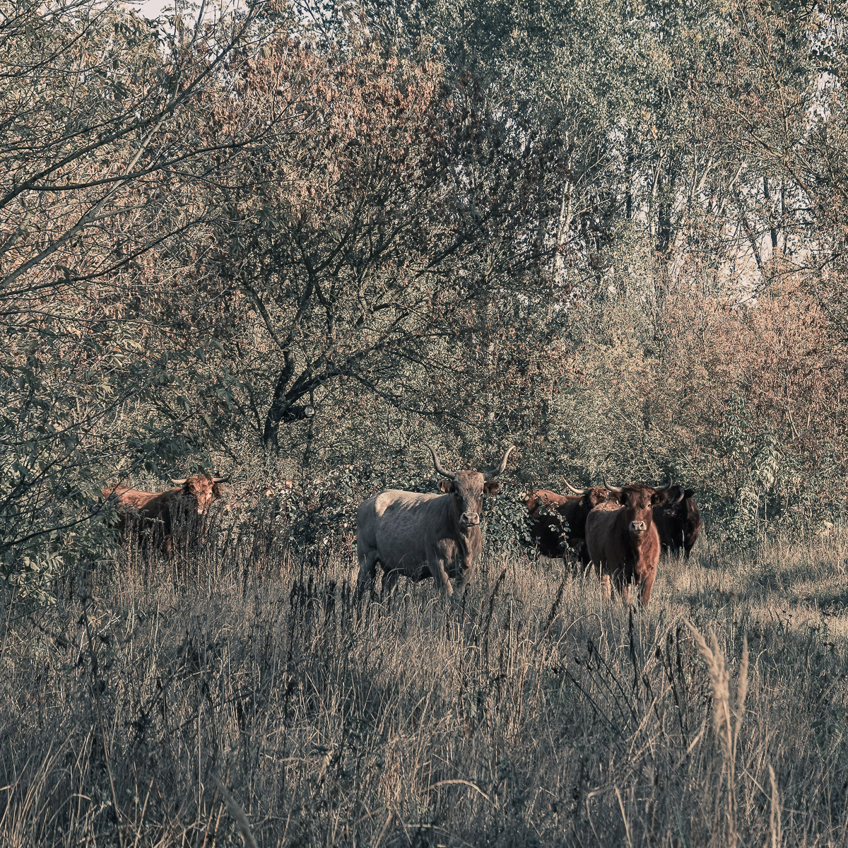 Stephan-Redel-0575-848-03609