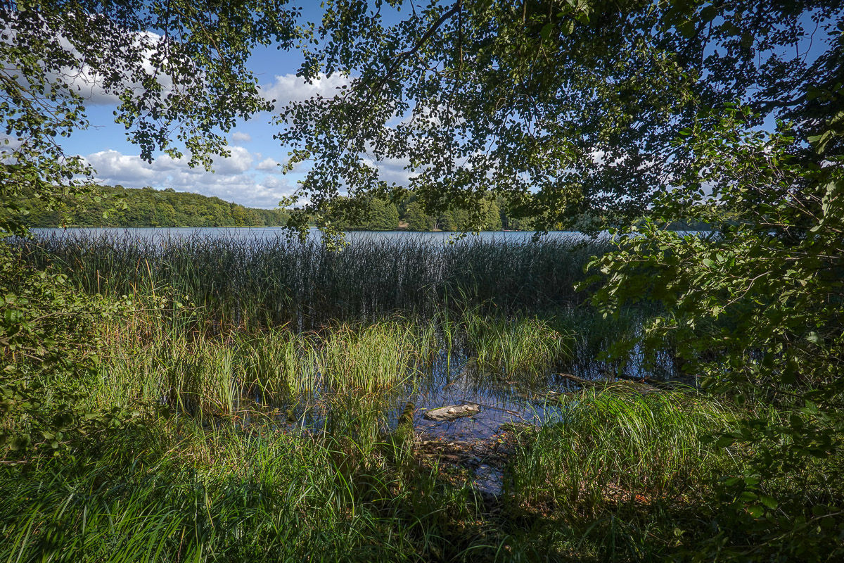 Stephan-Redel-0577-848-03293