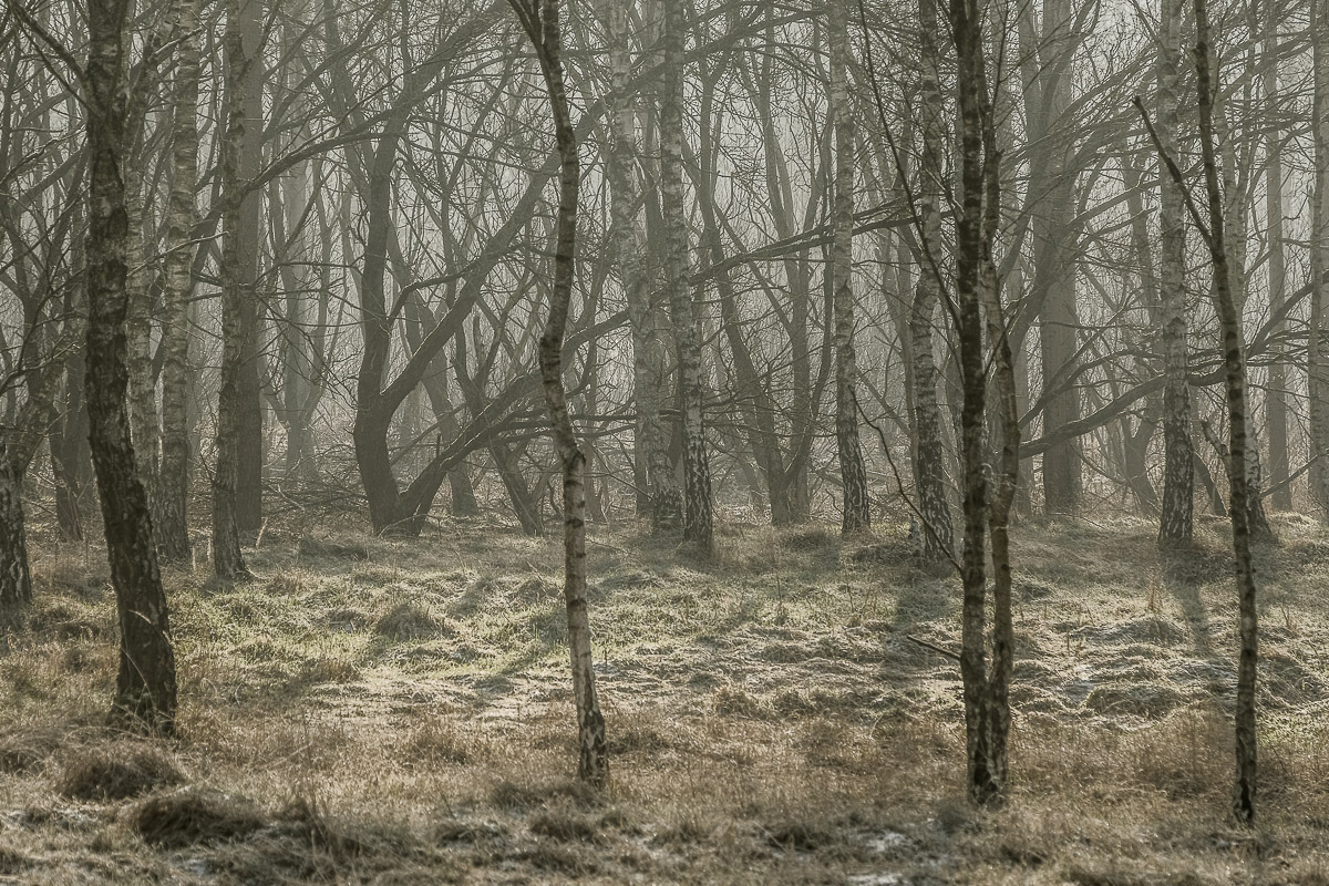 Stephan-Redel-0584-817-9477