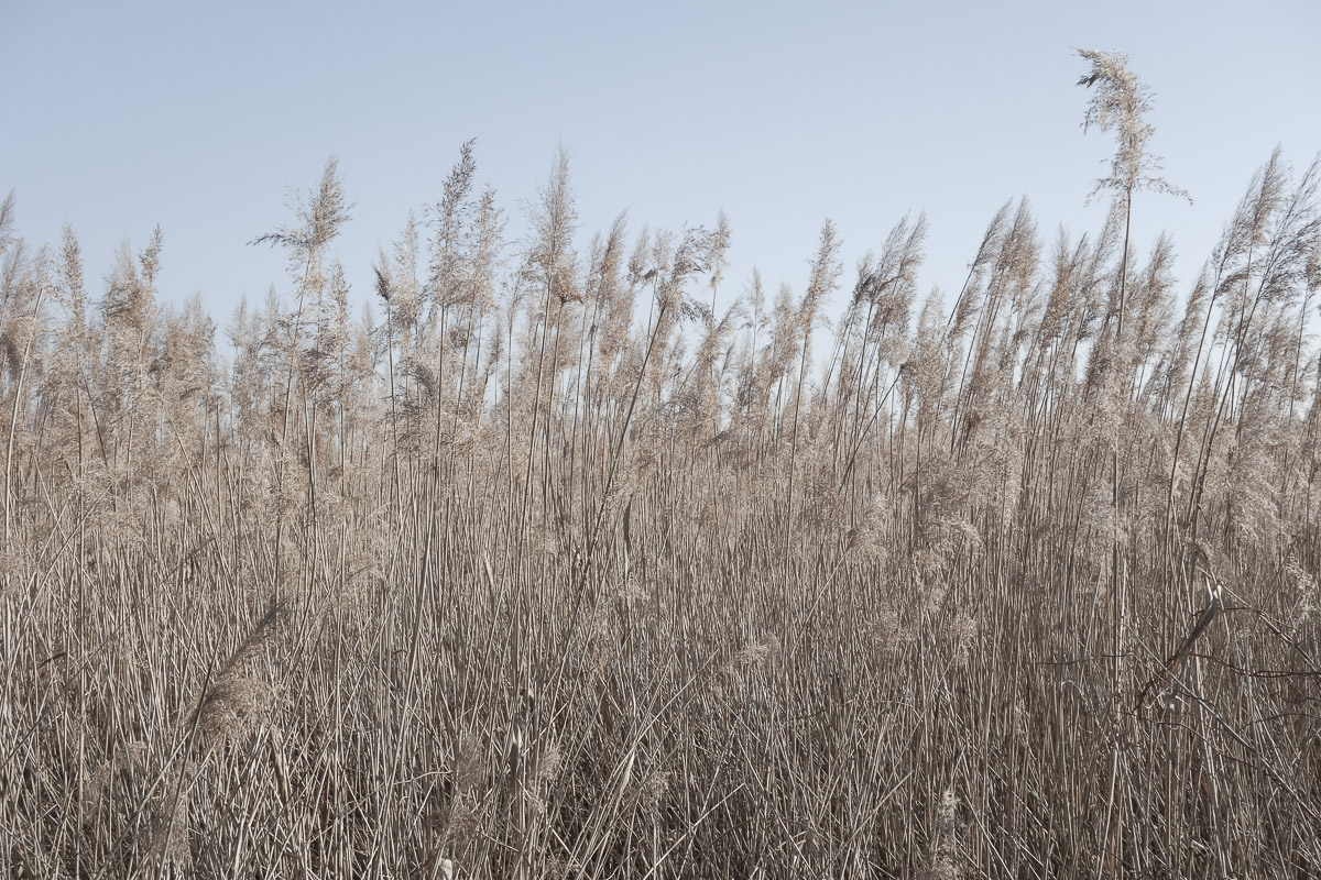 Stephan-Redel-0602-774-09967