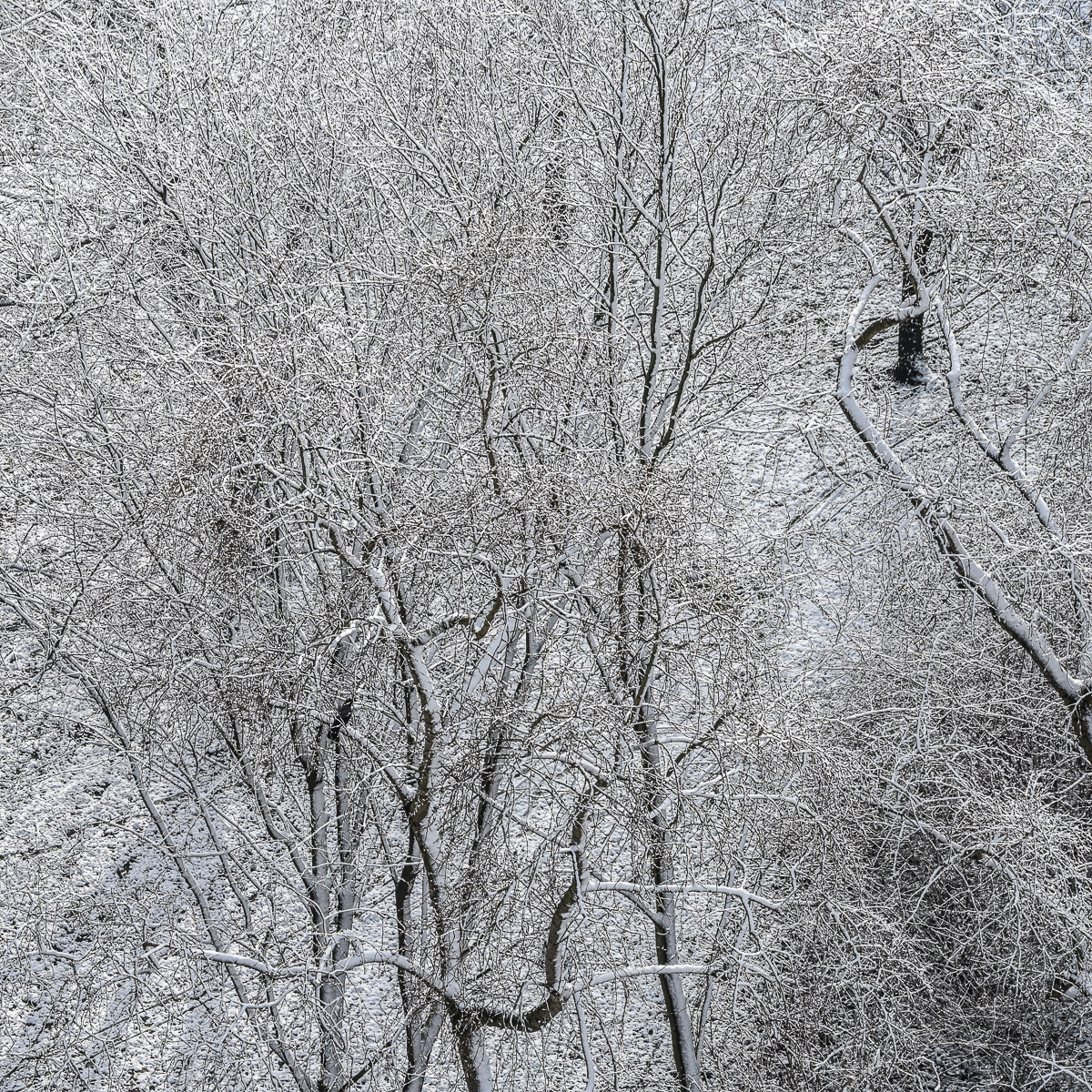 Stephan-Redel-0612-641-1561