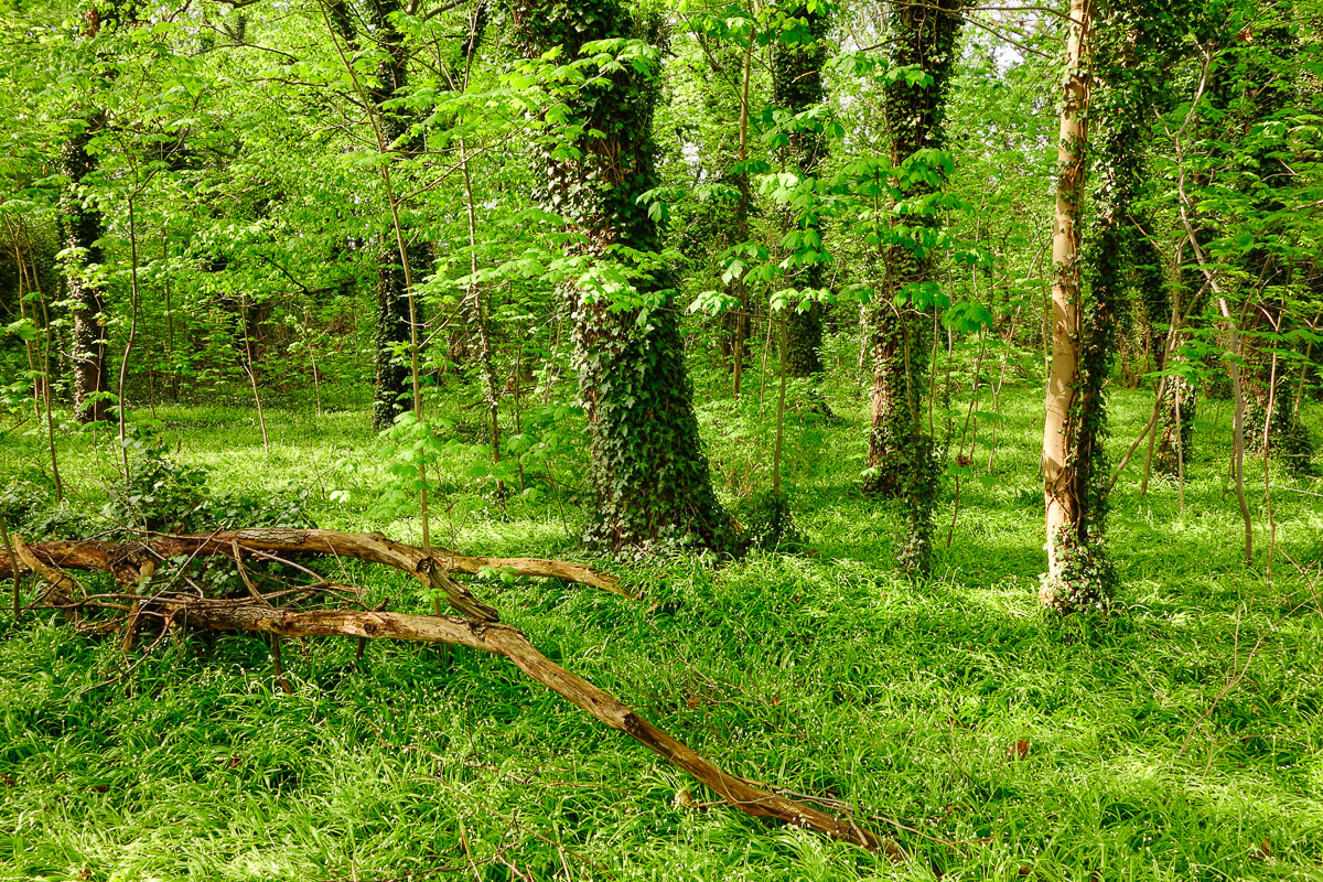 Stephan-Redel-0614-657-3436