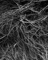 Stephan-Redel-0001-1164-103