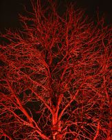 Stephan-Redel-0002-995-0813