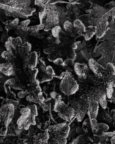 Stephan-Redel-0003-1164-044