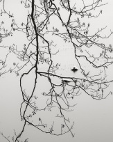 Stephan-Redel-0004-704-0353