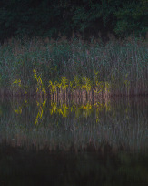 Stephan-Redel-0005-923-01625