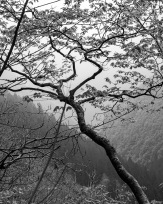 Stephan-Redel-0007-1054-315