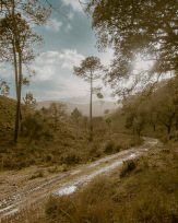 Stephan-Redel-0009-1126-208