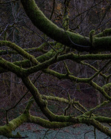 Stephan-Redel-0011-1124-09610