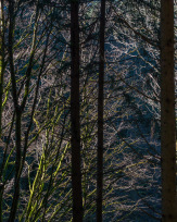 Stephan-Redel-0012-1124-09607