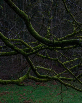 Stephan-Redel-0013-1124-09539