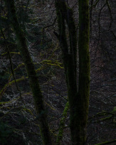 Stephan-Redel-0014-1124-09529