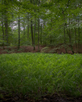 Stephan-Redel-0014-1152-01484