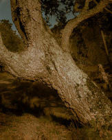 Stephan-Redel-0015-1126-202