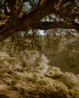 Stephan-Redel-0016-1126-178