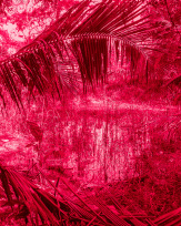 Stephan-Redel-0017-780-2542