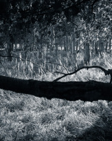 Stephan-Redel-0022-752-049