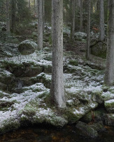 Stephan-Redel-0023-1032-07561