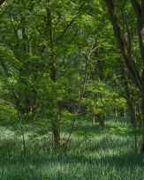 Stephan-Redel-0025-1100-06577