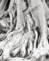 Stephan-Redel-0026-780-1010