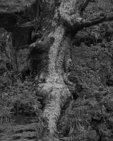 Stephan-Redel-0027-1054-324