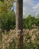 Stephan-Redel-0029-1069-02535