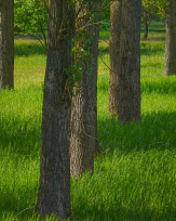 Stephan-Redel-0030-1100-06570