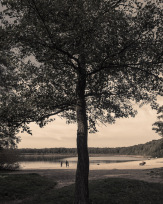 Stephan-Redel-0031-1118-08954