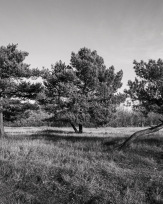 Stephan-Redel-0032-1119-09145