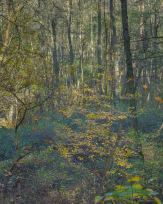 Stephan-Redel-0033-757-07901