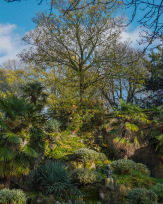 Stephan-Redel-0035-892-1103