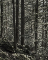 Stephan-Redel-0036-1112-07401