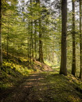 Stephan-Redel-0038-1112-07398