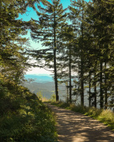 Stephan-Redel-0039-1112-06978