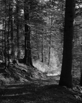 Stephan-Redel-0042-1112-07400