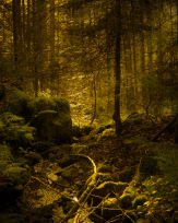 Stephan-Redel-0043-1112-07392