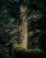 Stephan-Redel-0044-1112-07018