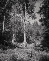 Stephan-Redel-0046-1112-06925