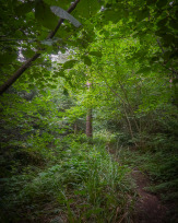 Stephan-Redel-0048-1112-06892