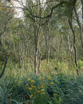 Stephan-Redel-0050-744-0039