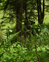 Stephan-Redel-0054-911-08591