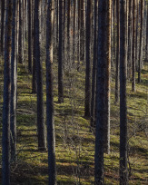 Stephan-Redel-0055-1081-03528