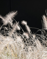 Stephan-Redel-0059-382-6892