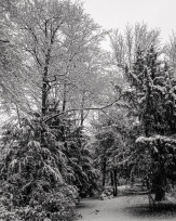 Stephan-Redel-0061-812-03674