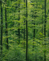 Stephan-Redel-0062-838-05655