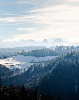 Stephan-Redel-0066-532-1185