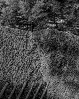 Stephan-Redel-0067-898-06660